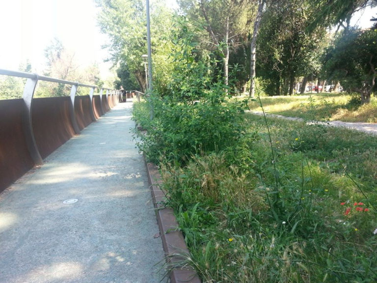 degrado verde pubblico