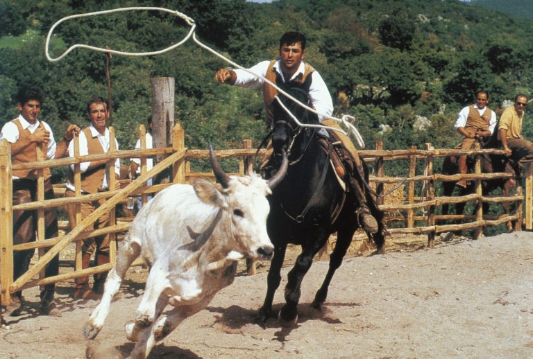 festa della merca