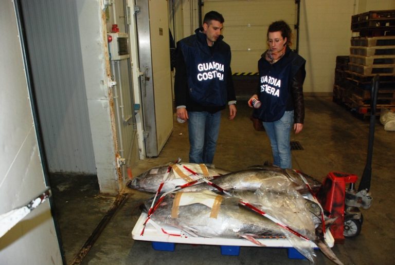 tonno rosso sequestrato