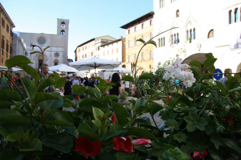 Todi_Fiorita_Piazza_del_Popolo