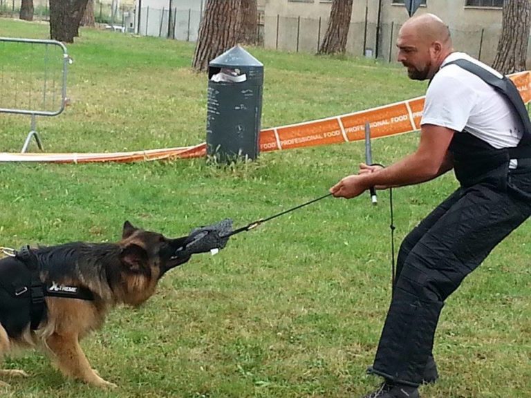 Cani da Difesa e Attacco