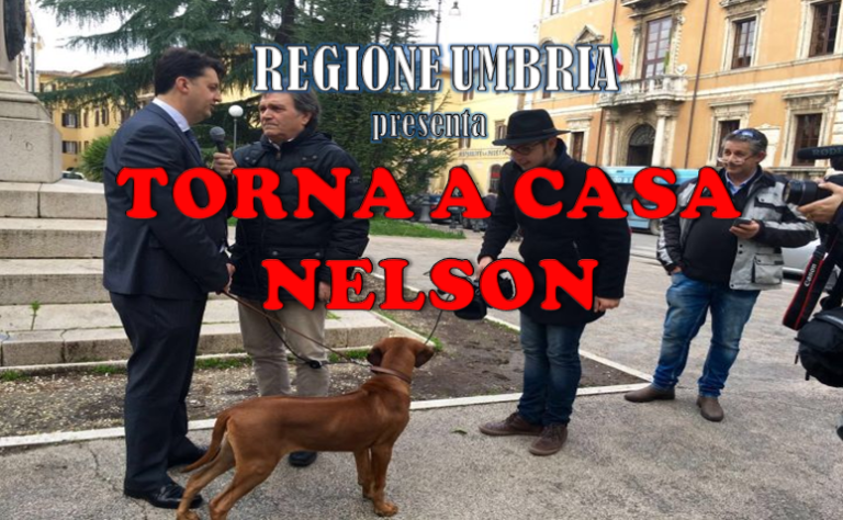 BARBERINI CON CANE NELSON 1