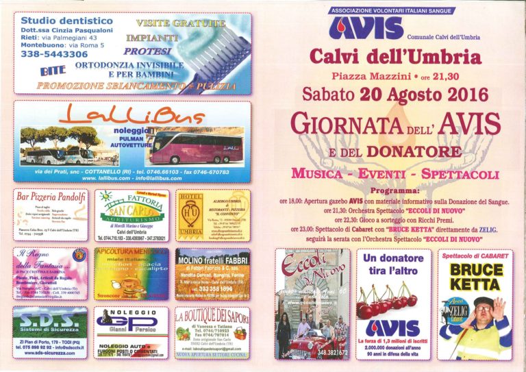 Festa Avis 2016