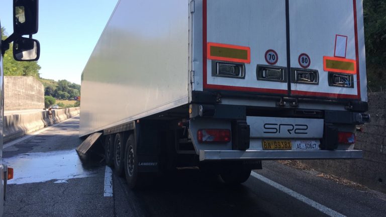 camion