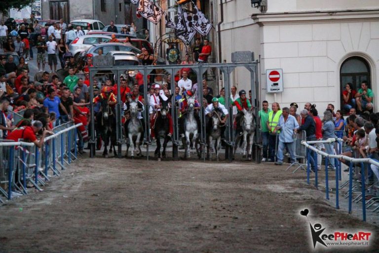 foto palio