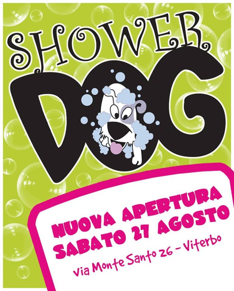 shower dog 2