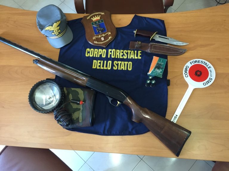 controlli-forestale-caccia