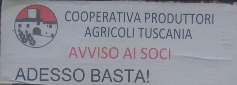 cooperativa-produttori-agricoli-tuscania-testata