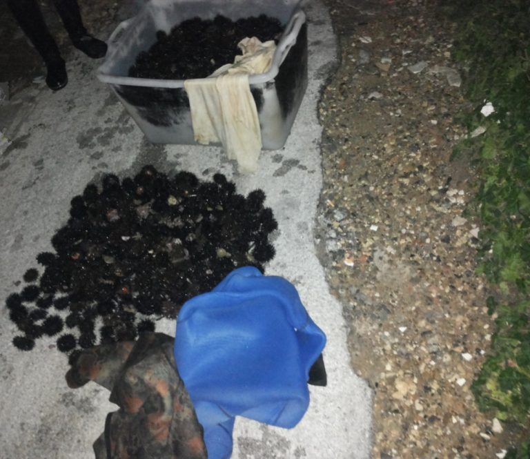 Foto Sequestro Ricci 1