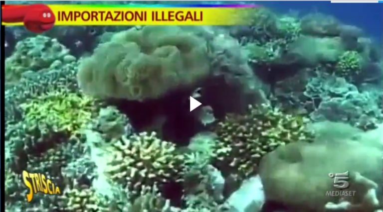 sequestro-illegale