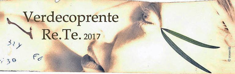verdecoprente 2017
