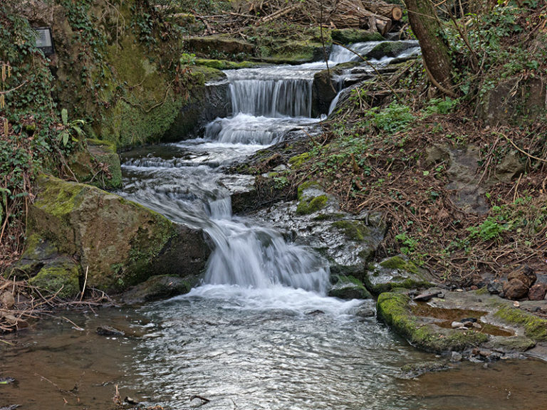 IMG_0482