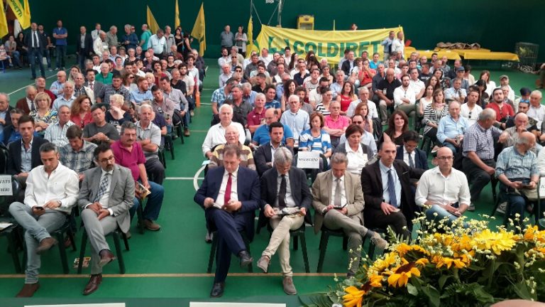 platea 2