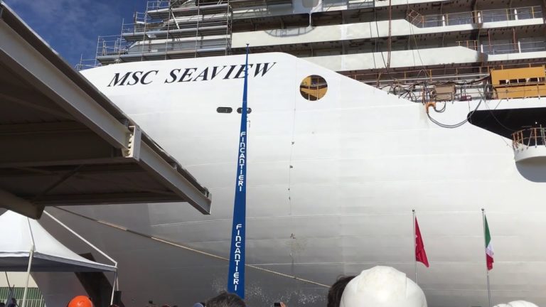 mscseaview