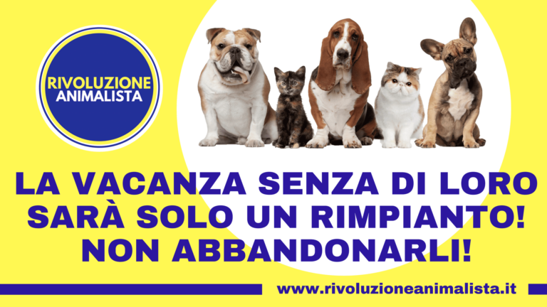 animali