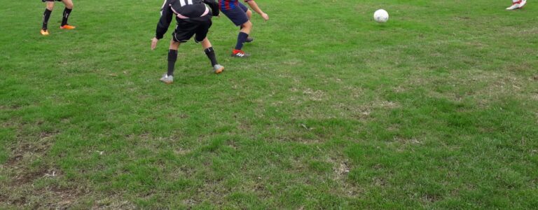 calcioa5