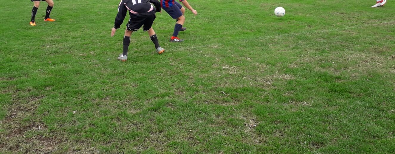 calcioa5