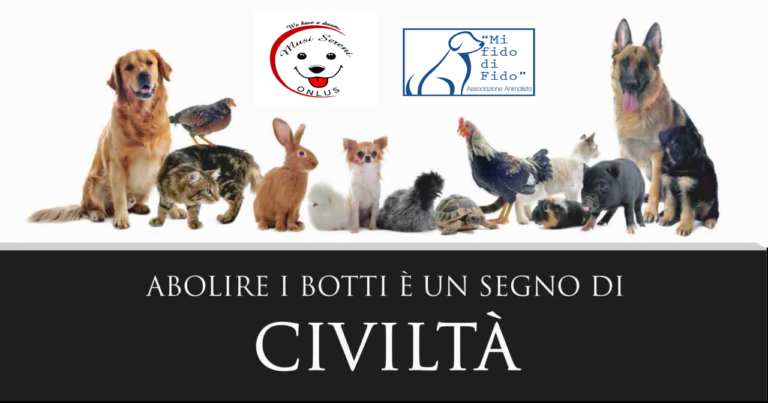 abolire botti civllta