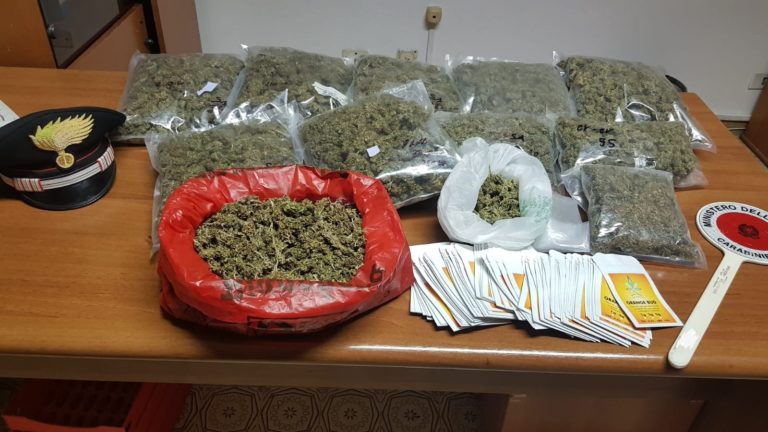 grow_shop_illegale_ladispoli