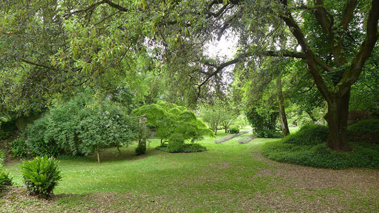 giardino-bosco