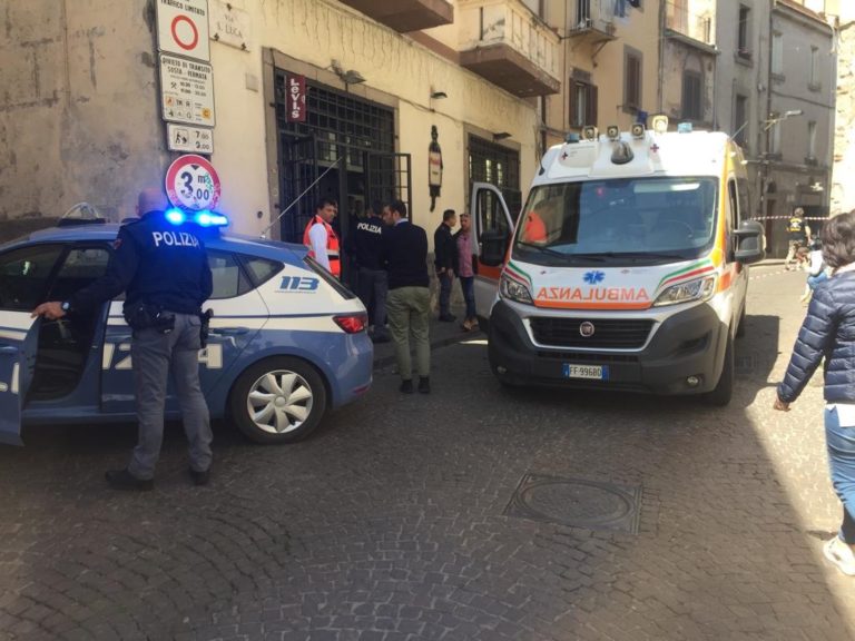 fedeli