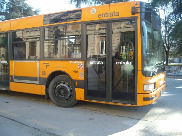 bus