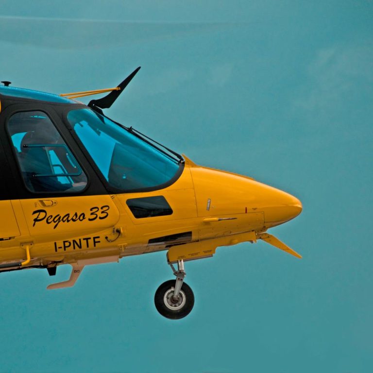 pegaso 33
