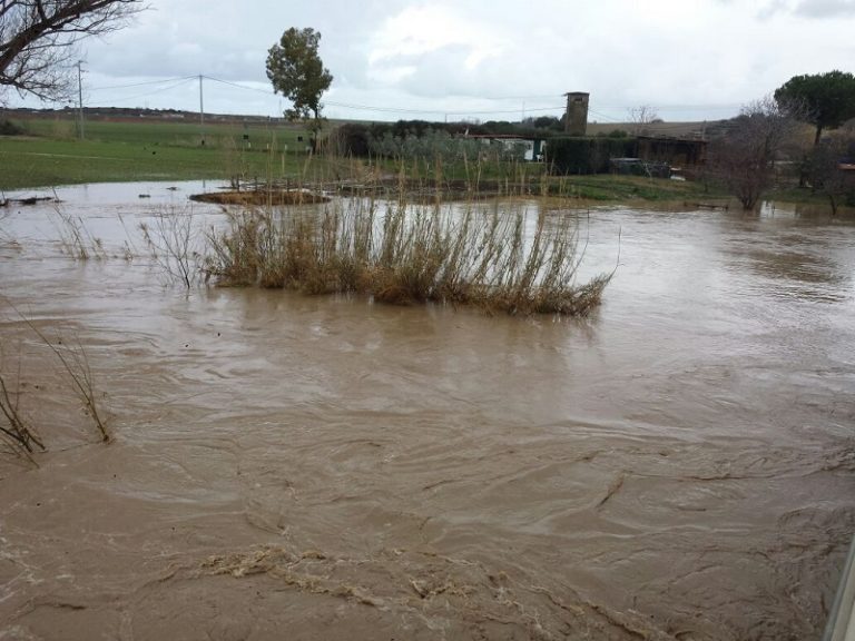 Tarquinia-fiume