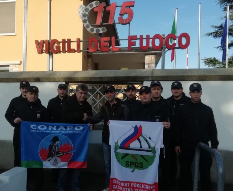 vigili