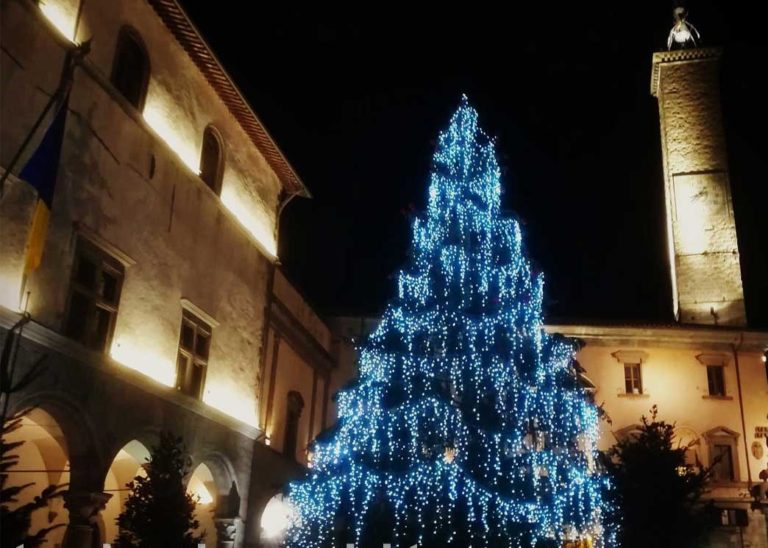 albero