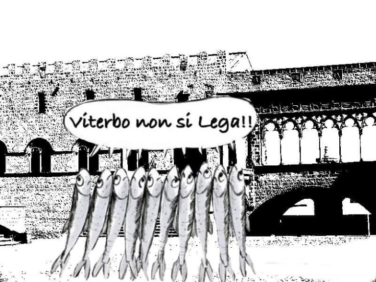 sardine3