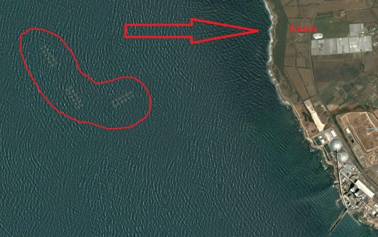 pescicoltura frasca