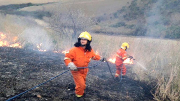 Incendio Tarquinia