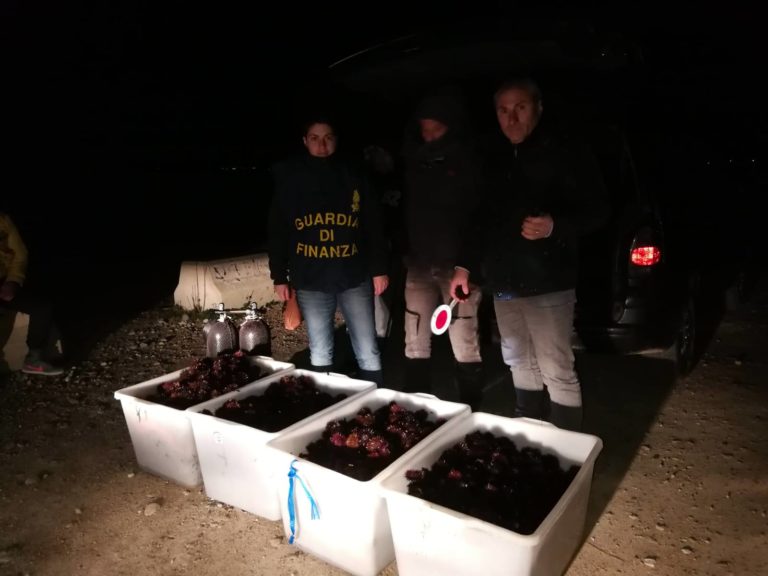 sequestro ricci roan