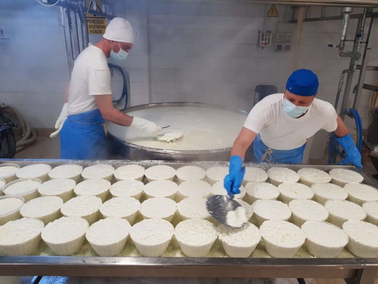 produzione formaggi