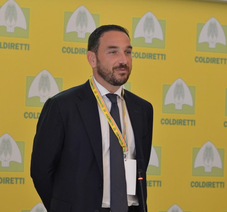 David Granieri