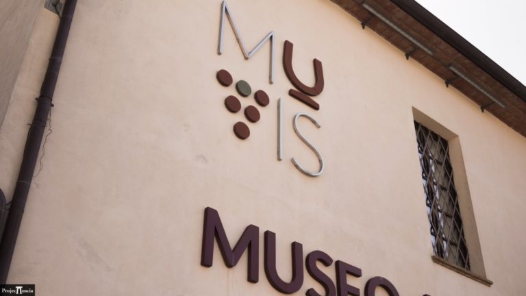 Muvis - Museo del Vino e delle scienze agroalimentari