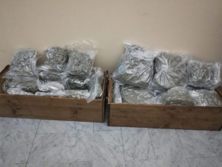 marijuana sequestrata civitavecchia