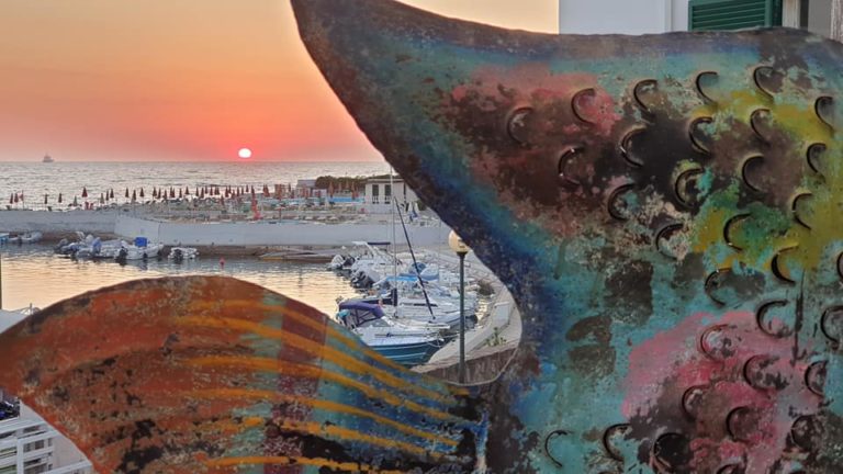 sunbay civitavecchia 1