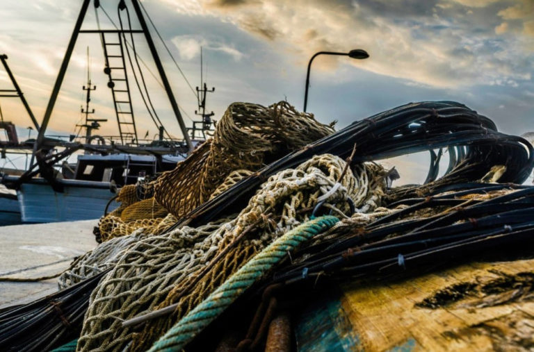 pesca fermo biologico