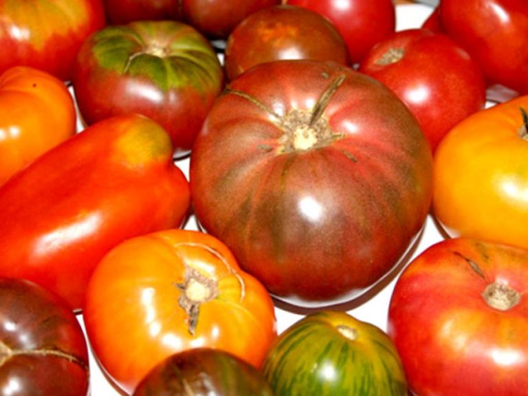 pomodoro