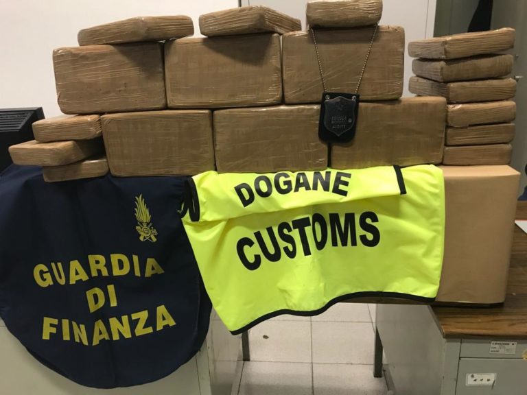 gdfdoganecoca