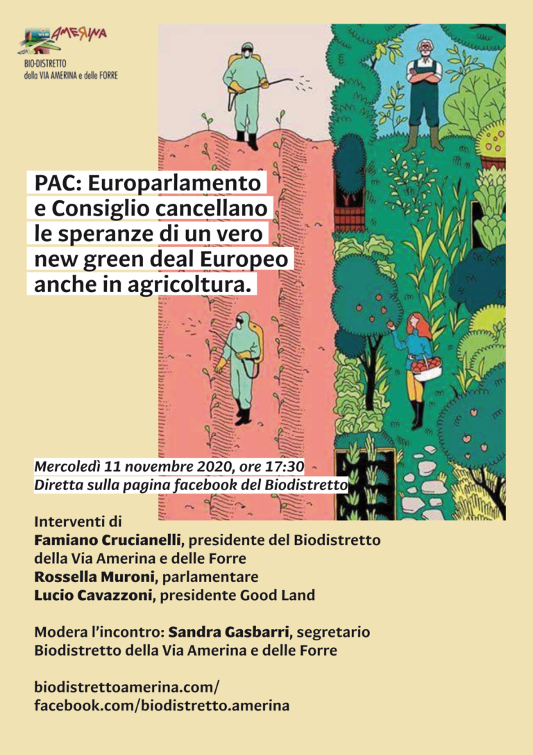 pac europarlamento