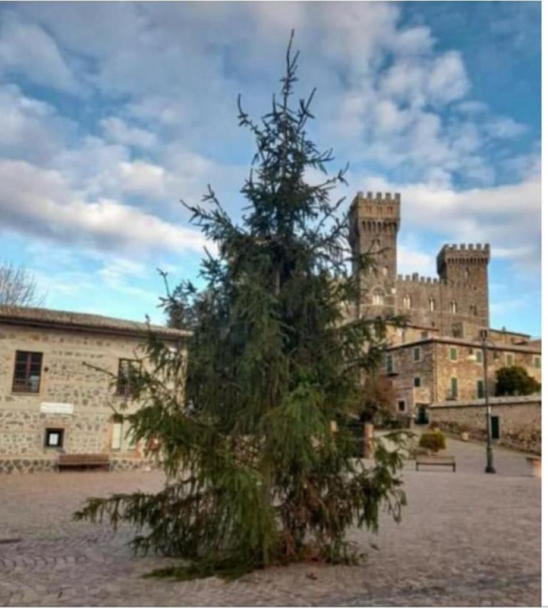 spelacchio