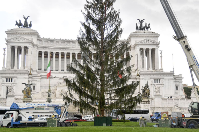 spelacchio-roma-bandi-m5s-6