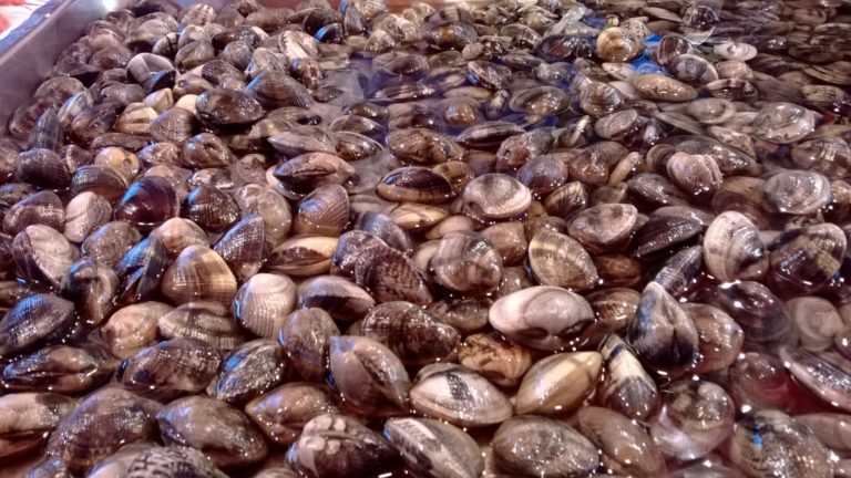 vongole