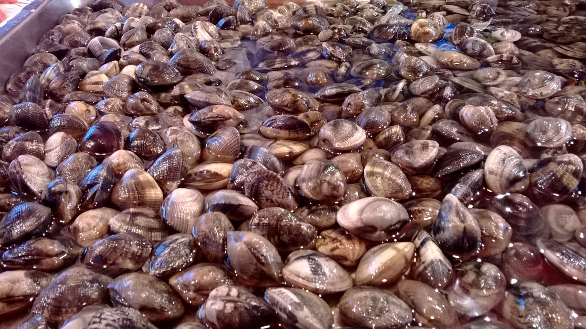 vongole