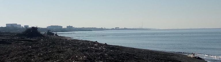 rifiuti in mare 1