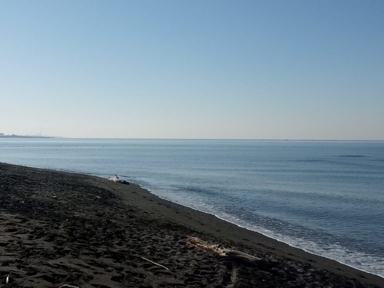 rifiuti in mare 2