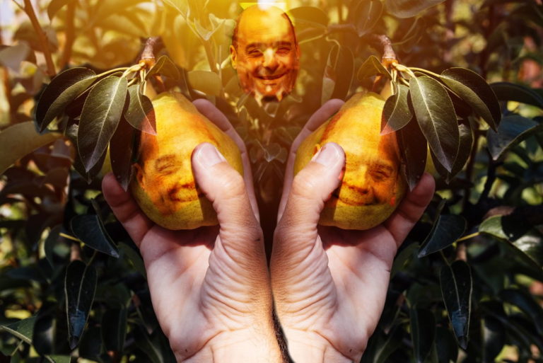 pere_albero_zingaretti